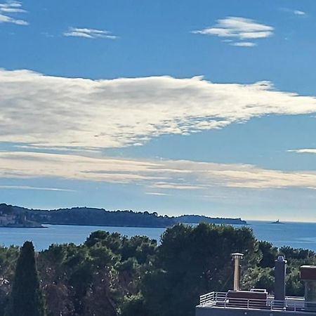 Villa Salvia Rooms And Apartments Rovinj Exteriör bild