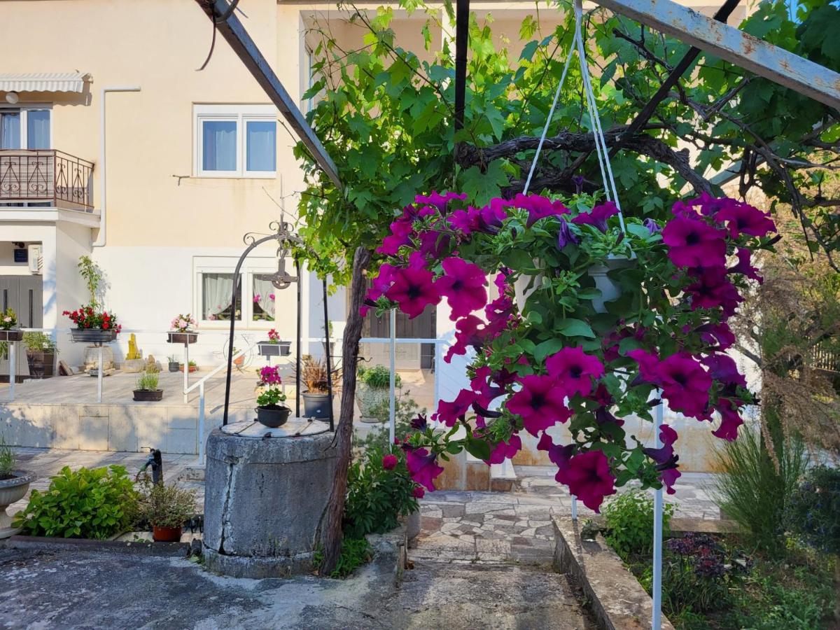 Villa Salvia Rooms And Apartments Rovinj Exteriör bild
