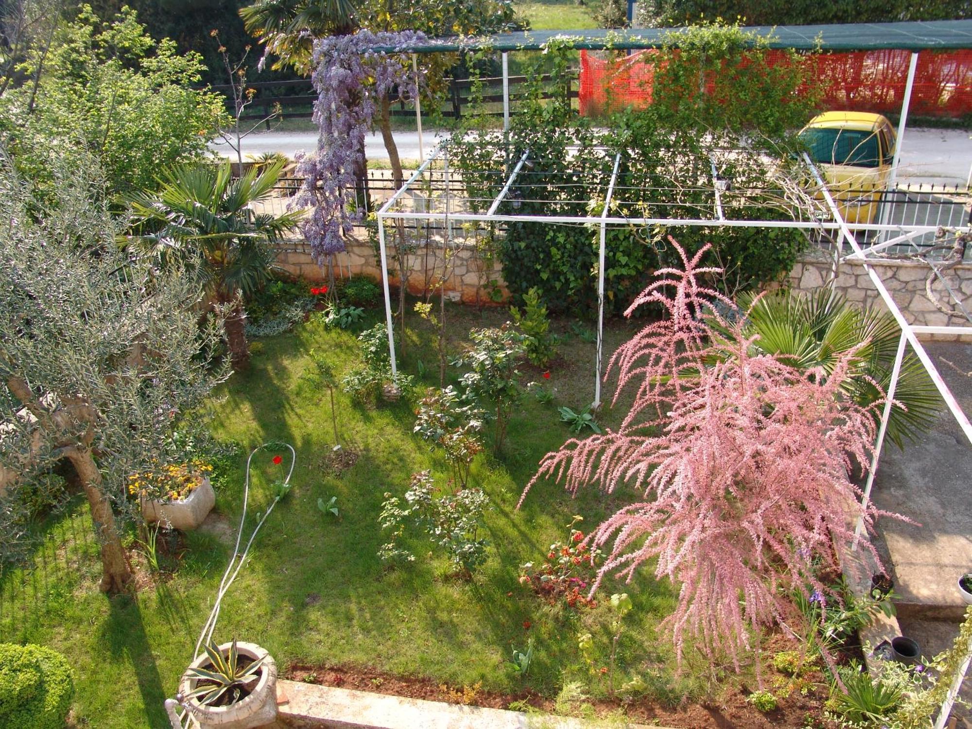 Villa Salvia Rooms And Apartments Rovinj Exteriör bild