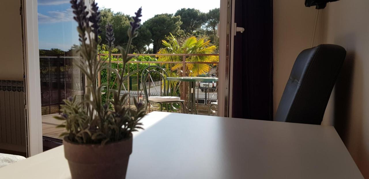 Villa Salvia Rooms And Apartments Rovinj Exteriör bild